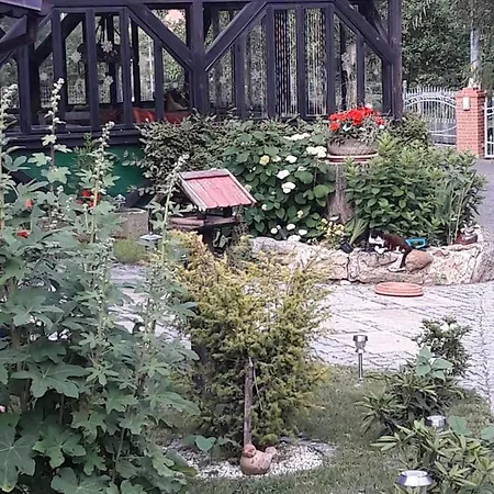 Apartment Im Dreilaendereck - Dom Przy Trzech Granicach Lesna (Luban)