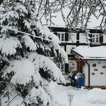 Im Dreilaendereck - Dom Przy Trzech Granicach * Leśna