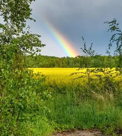 Im Dreilaendereck - Dom Przy Trzech Granicach * Leśna