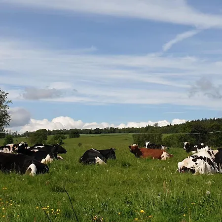 Im Dreilaendereck - Dom Przy Trzech Granicach Appartement Leśna