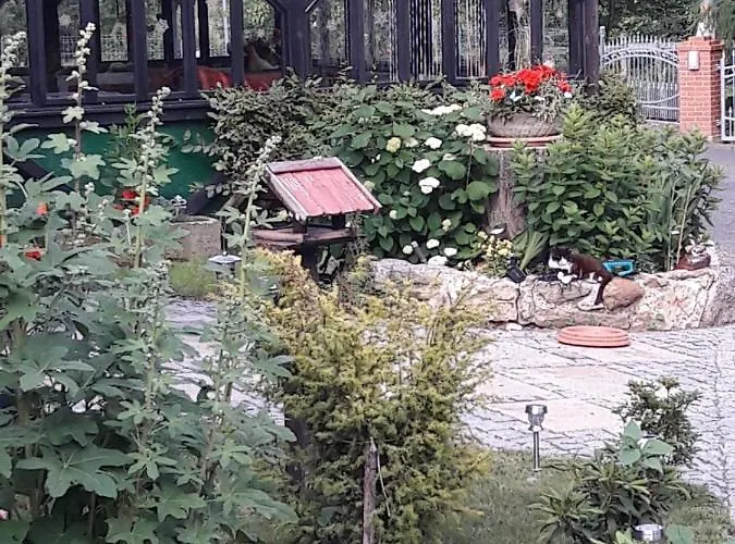 公寓 Im Dreilaendereck - Dom Przy Trzech Granicach Leśna