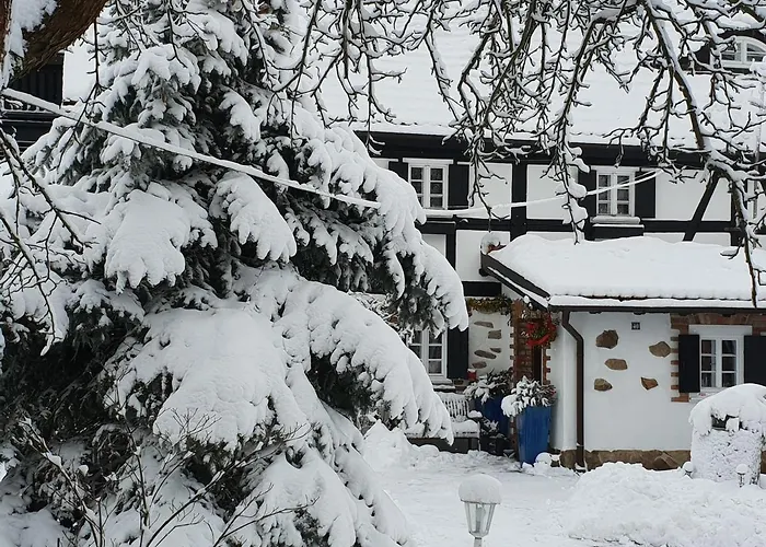 Im Dreilaendereck - Dom Przy Trzech Granicach * Lesna (Luban)