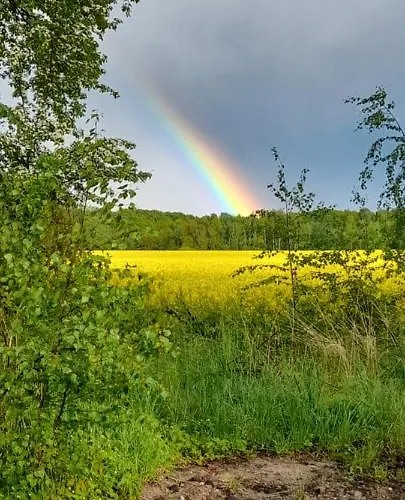Im Dreilaendereck - Dom Przy Trzech Granicach * Leśna