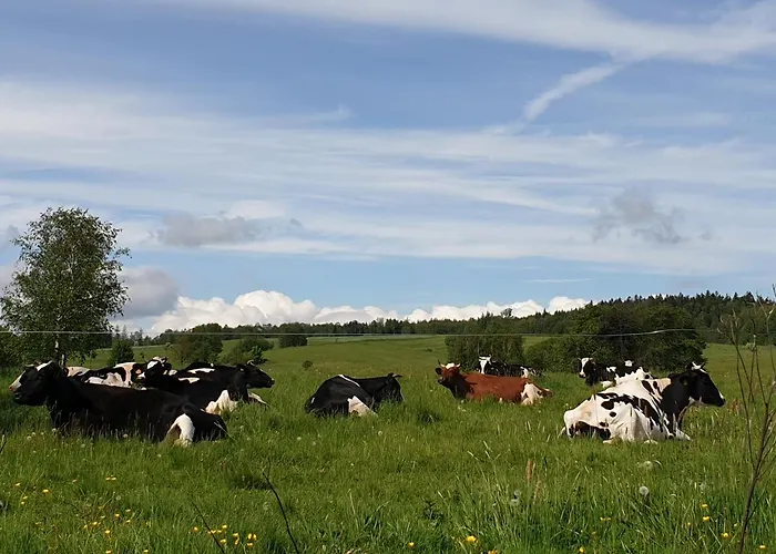 Im Dreilaendereck - Dom Przy Trzech Granicach Apartmán Leśna