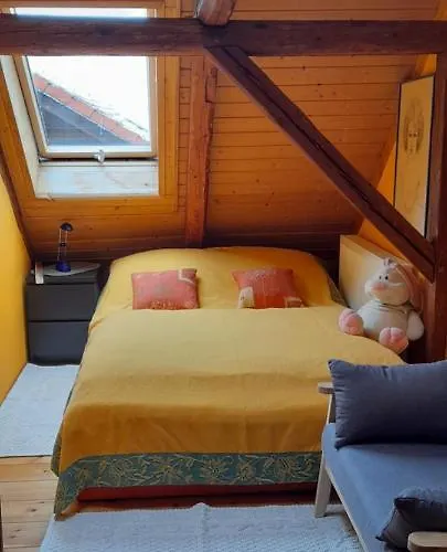 Im Dreilaendereck - Dom Przy Trzech Granicach 公寓 Leśna